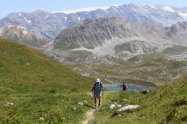 Two hikers traverse a winding dirt path through a vibrant green, grassy mountain landscape under a clear blue sky